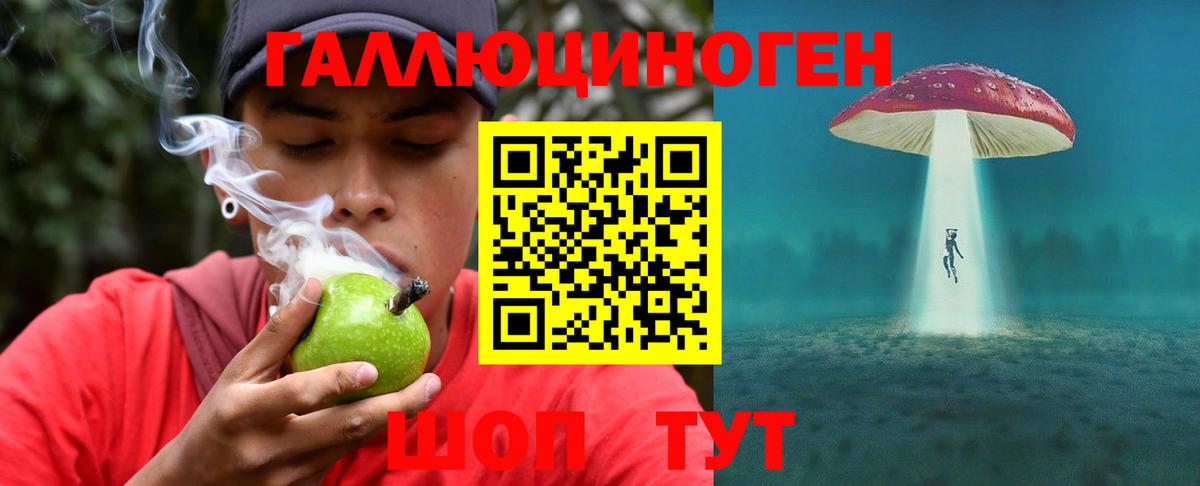 Галлюциногенные грибы Psilocybine cubensis  Вход с VPN  Реж 